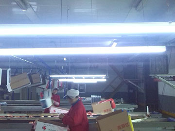 lehu - 乐虎 -(88国际)唯一官方网站