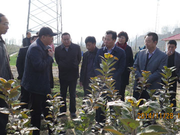 lehu - 乐虎 -(88国际)唯一官方网站