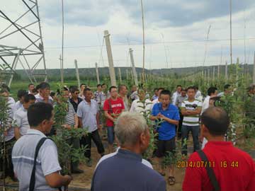 lehu - 乐虎 -(88国际)唯一官方网站