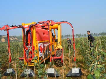 lehu - 乐虎 -(88国际)唯一官方网站