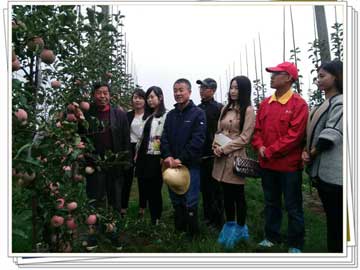 lehu - 乐虎 -(88国际)唯一官方网站