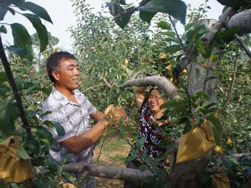 lehu - 乐虎 -(88国际)唯一官方网站