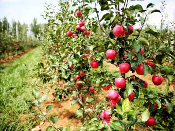 lehu - 乐虎 -(88国际)唯一官方网站