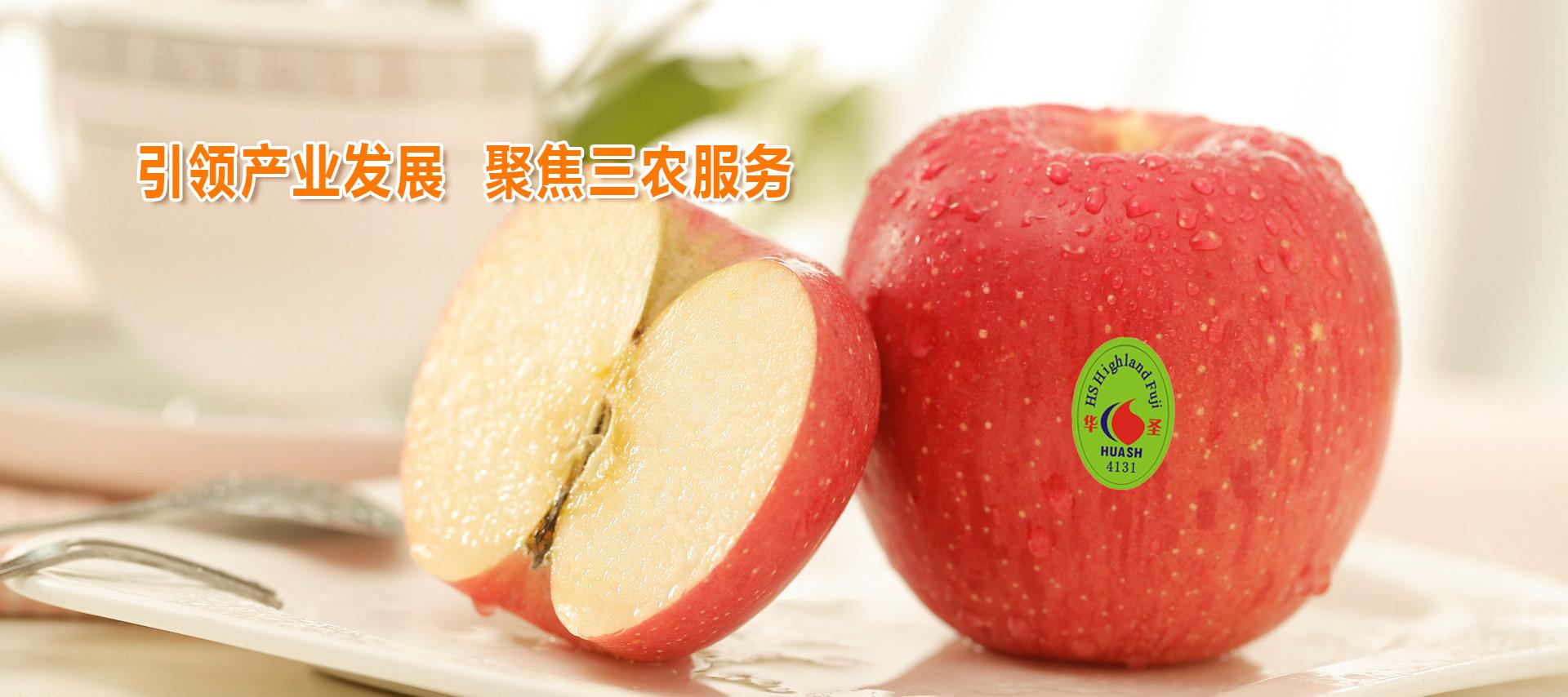 lehu - 乐虎 -(88国际)唯一官方网站