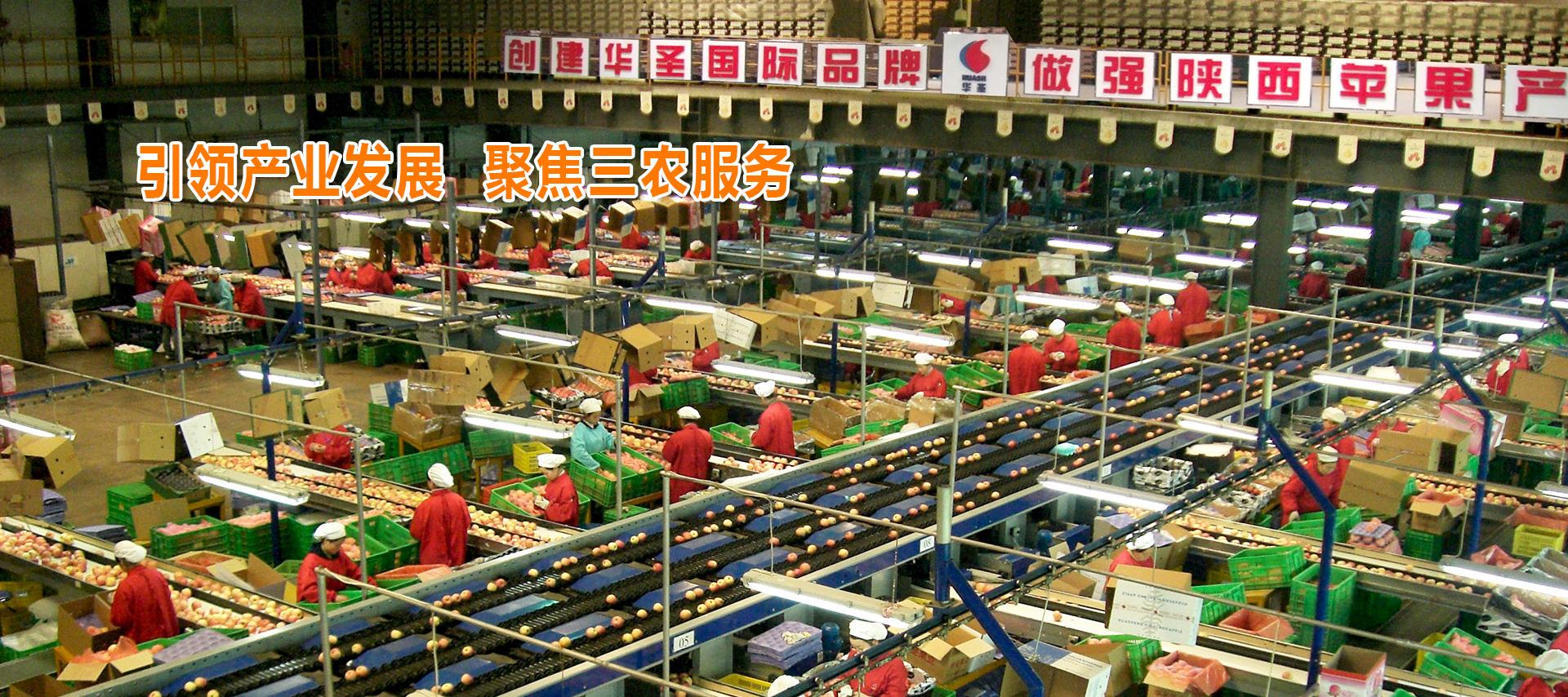 lehu - 乐虎 -(88国际)唯一官方网站