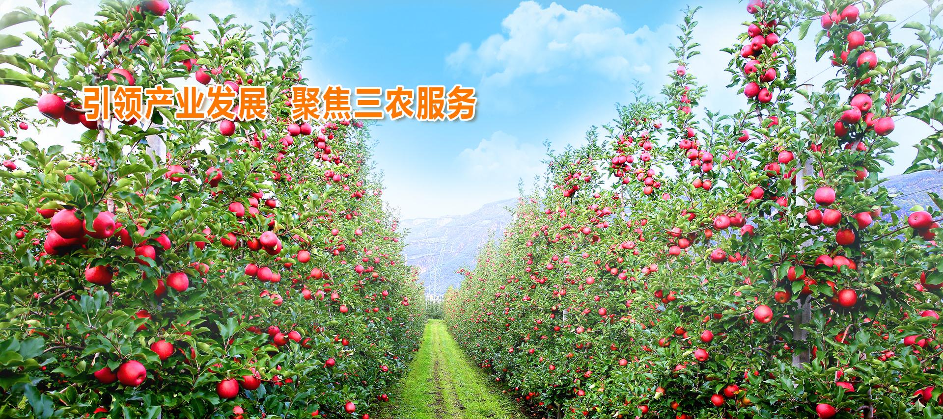 lehu - 乐虎 -(88国际)唯一官方网站