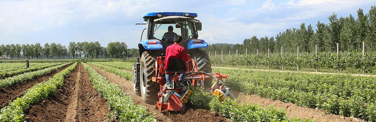 lehu - 乐虎 -(88国际)唯一官方网站