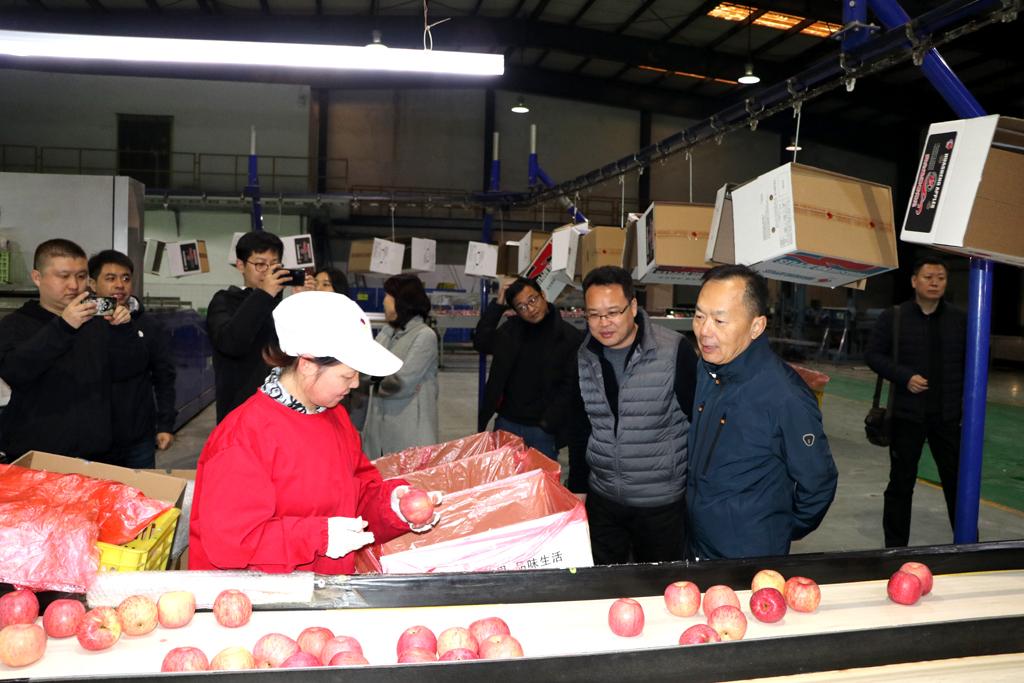 lehu - 乐虎 -(88国际)唯一官方网站