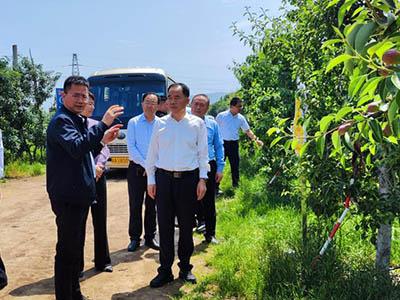 lehu - 乐虎 -(88国际)唯一官方网站