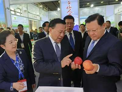 lehu - 乐虎 -(88国际)唯一官方网站