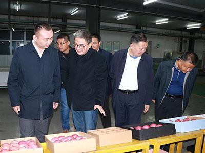 lehu - 乐虎 -(88国际)唯一官方网站