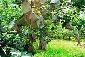 lehu - 乐虎 -(88国际)唯一官方网站