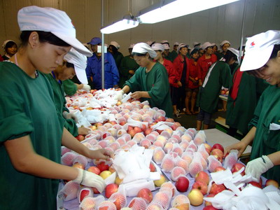 lehu - 乐虎 -(88国际)唯一官方网站