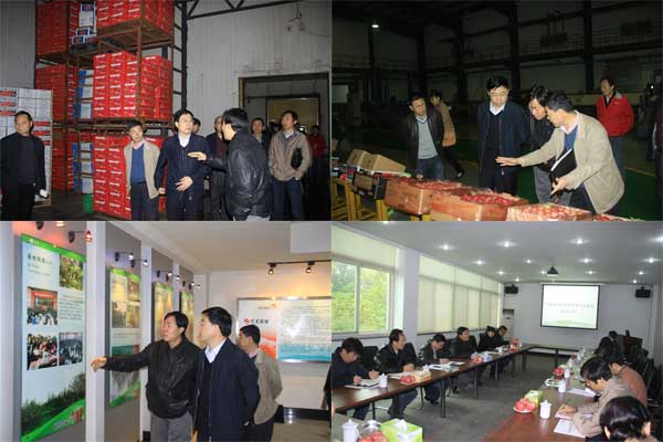 lehu - 乐虎 -(88国际)唯一官方网站