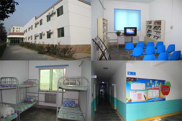 lehu - 乐虎 -(88国际)唯一官方网站