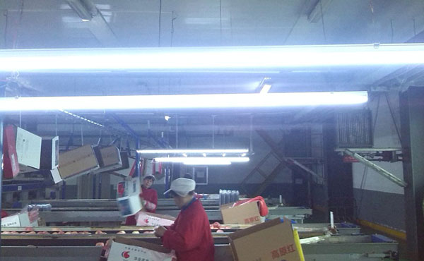 lehu - 乐虎 -(88国际)唯一官方网站