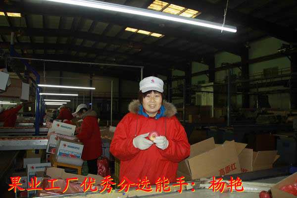 lehu - 乐虎 -(88国际)唯一官方网站