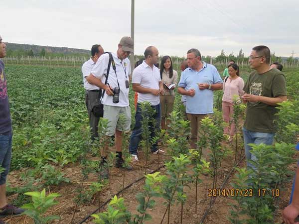 lehu - 乐虎 -(88国际)唯一官方网站