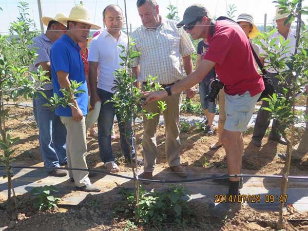 lehu - 乐虎 -(88国际)唯一官方网站