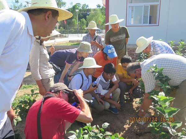 lehu - 乐虎 -(88国际)唯一官方网站