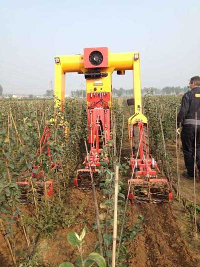 lehu - 乐虎 -(88国际)唯一官方网站