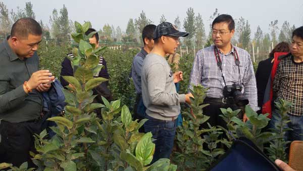 lehu - 乐虎 -(88国际)唯一官方网站