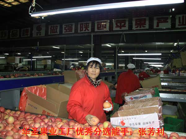 lehu - 乐虎 -(88国际)唯一官方网站