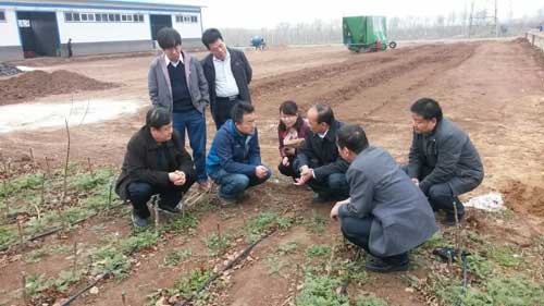 lehu - 乐虎 -(88国际)唯一官方网站