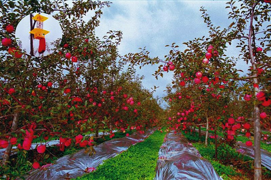 lehu - 乐虎 -(88国际)唯一官方网站