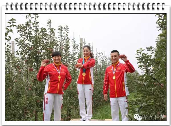 lehu - 乐虎 -(88国际)唯一官方网站