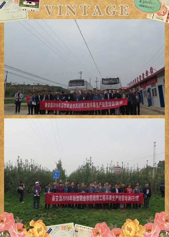 lehu - 乐虎 -(88国际)唯一官方网站