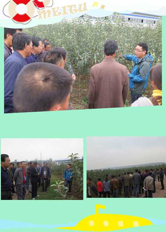 lehu - 乐虎 -(88国际)唯一官方网站