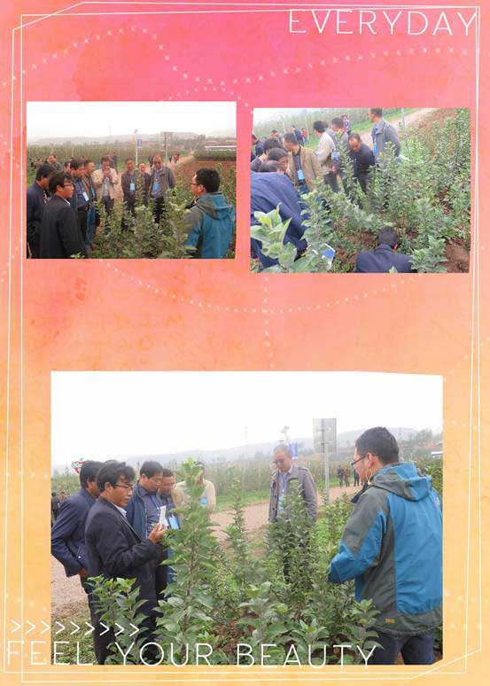 lehu - 乐虎 -(88国际)唯一官方网站