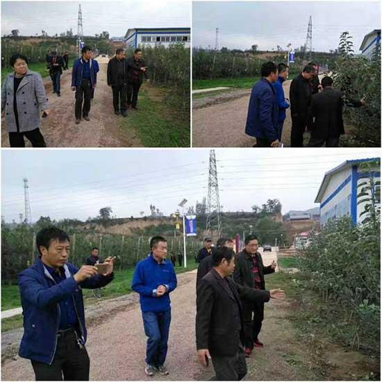 lehu - 乐虎 -(88国际)唯一官方网站