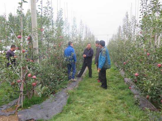 lehu - 乐虎 -(88国际)唯一官方网站