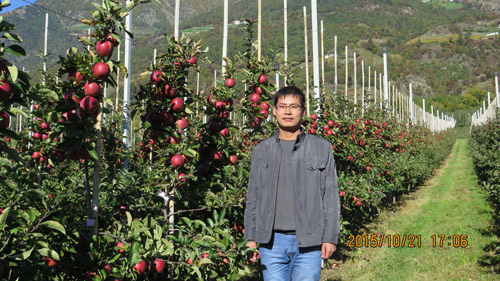 lehu - 乐虎 -(88国际)唯一官方网站