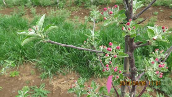 lehu - 乐虎 -(88国际)唯一官方网站