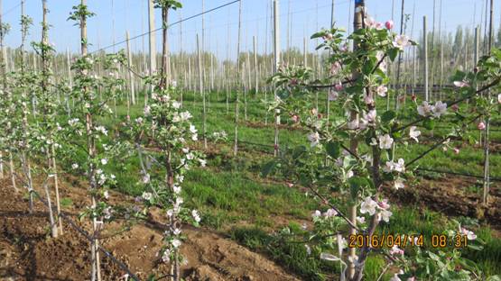 lehu - 乐虎 -(88国际)唯一官方网站