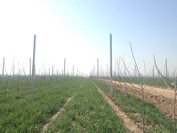 lehu - 乐虎 -(88国际)唯一官方网站