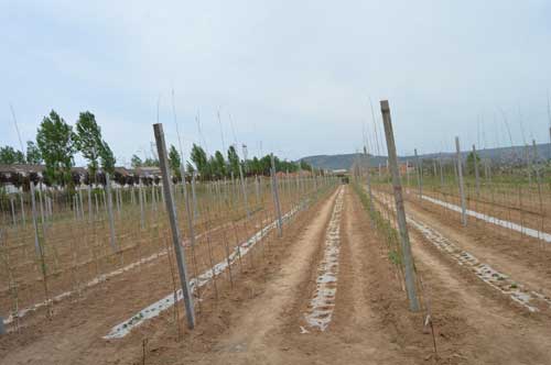 lehu - 乐虎 -(88国际)唯一官方网站