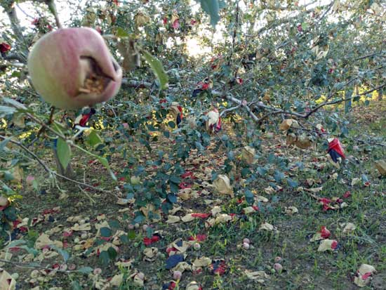 lehu - 乐虎 -(88国际)唯一官方网站