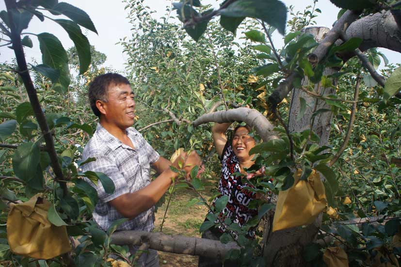 lehu - 乐虎 -(88国际)唯一官方网站