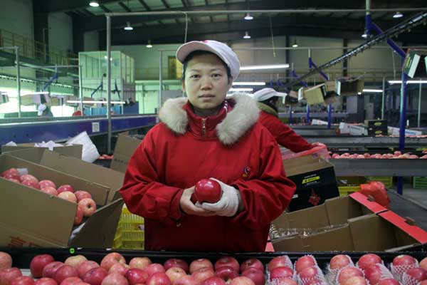 lehu - 乐虎 -(88国际)唯一官方网站