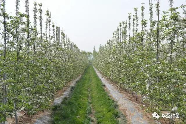 lehu - 乐虎 -(88国际)唯一官方网站