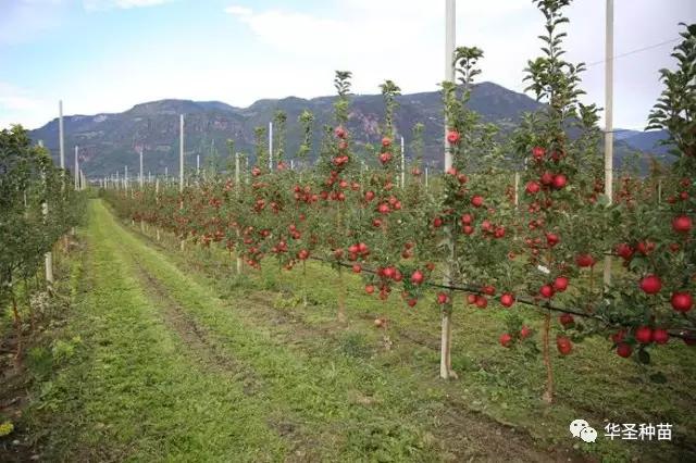 lehu - 乐虎 -(88国际)唯一官方网站