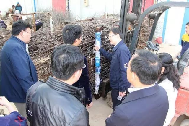 lehu - 乐虎 -(88国际)唯一官方网站