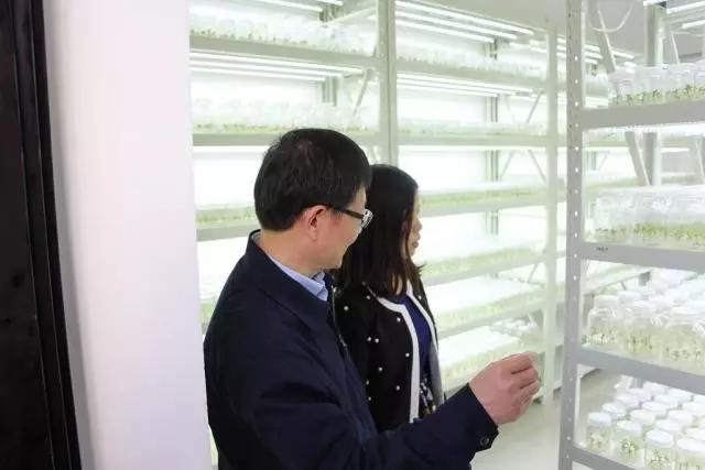 lehu - 乐虎 -(88国际)唯一官方网站