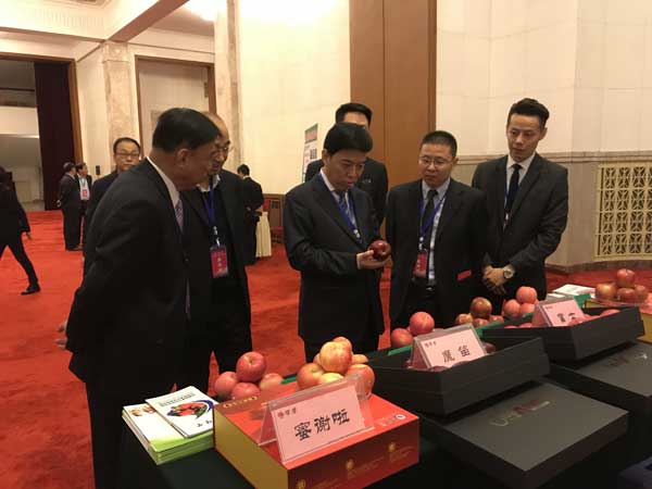 lehu - 乐虎 -(88国际)唯一官方网站