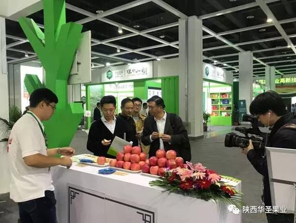 lehu - 乐虎 -(88国际)唯一官方网站