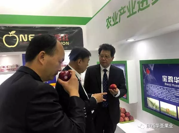 lehu - 乐虎 -(88国际)唯一官方网站